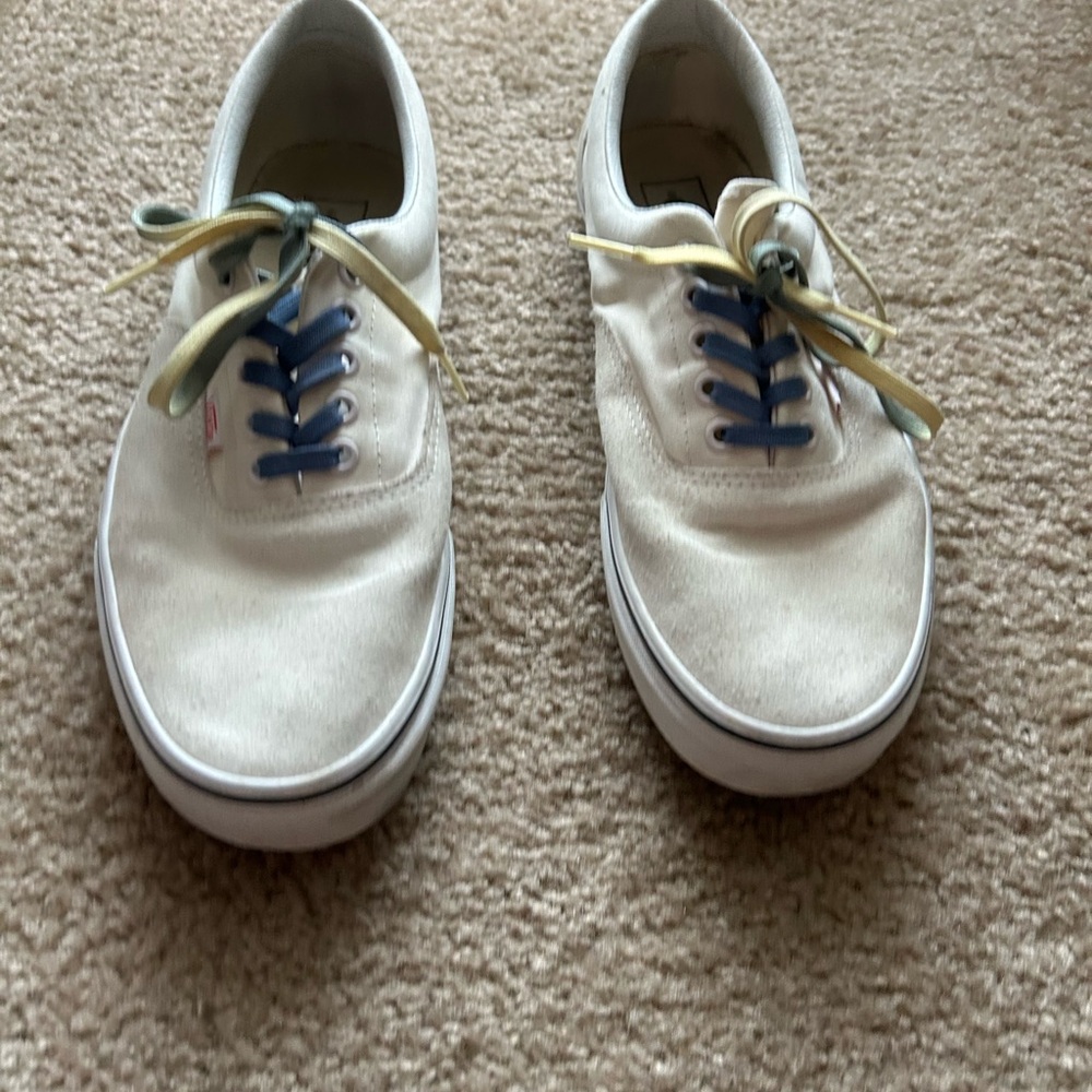 Classic vans
